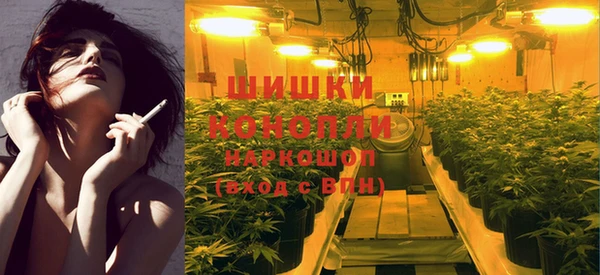 шишки Медногорск