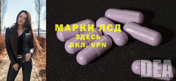 крисы Алзамай